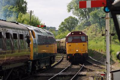 31466,D1062 at Severn Valley Railway. &copy; al66class59