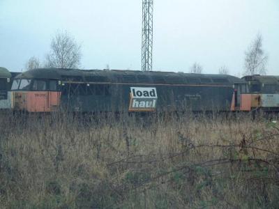 Toton TMD photo