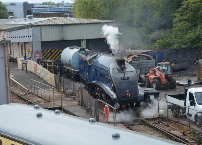 60007 steam at Dartmouth Steam Railway - Churston. &copy; AJax