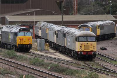 56098,56312,56104,47843,47847,50008,56081 at Leicester TMD. &copy; al66class59