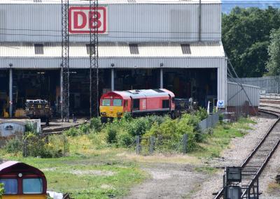66014 at Toton TMD. &copy; MJM