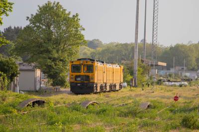 Woking Down Yard photo