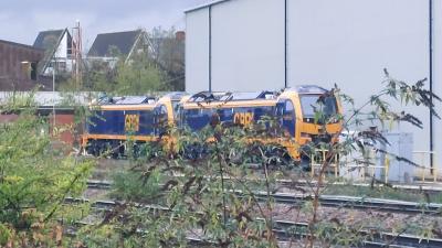 Leicester TMD photo