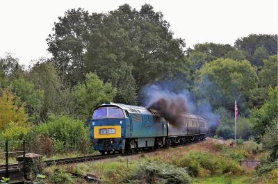 D1015 at Severn Valley Railway - Highley. &copy; stevexos