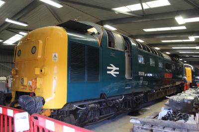 55019 at Barrow Hill Roundhouse. &copy; ConnorsRailPhotography