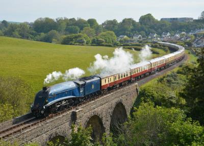 60007 steam at Dartmouth Steam Railway - Broadsands Viaduct. &copy; AJax