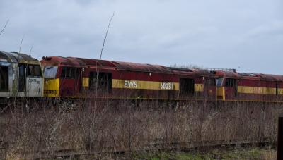 60031,60005 at Toton New Bank Sidings. &copy; Brodie