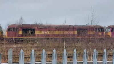 60030 at Toton TMD. &copy; MemberOfThePublic