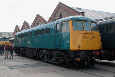 85006 at Derby - The Greatest Gathering 2025. &copy; stevexos