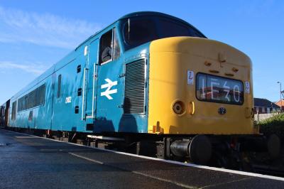 D182 at Severn Valley Railway. &copy; linuxyeti