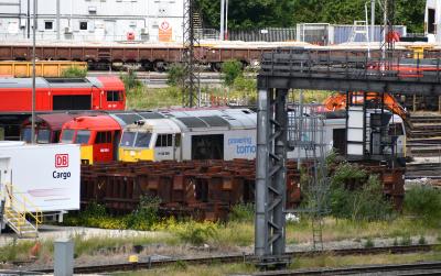 60066,60054,66043 at Toton TMD. &copy; MJM