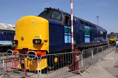 37218 at Crewe Gresty Bridge DRS Depot open day. &copy; trainlogger