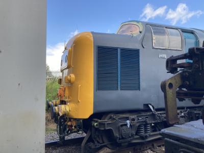 55019 at Barrow Hill. &copy; al66class59