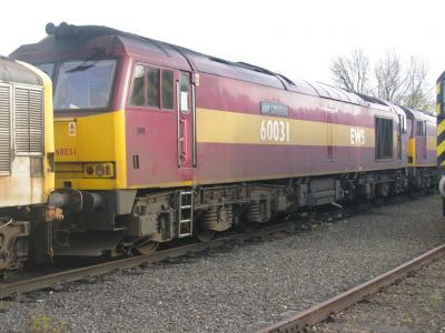60031 at Toton TMD. &copy; Byron5574