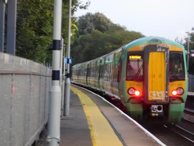 Hilsea photo