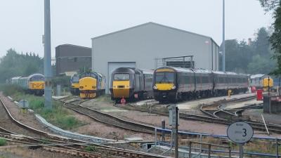 Leicester TMD photo