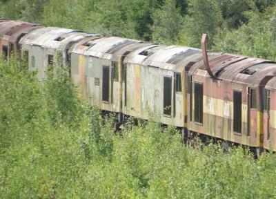 60031,60073,60034,60033 at Toton TMD. &copy; MJM