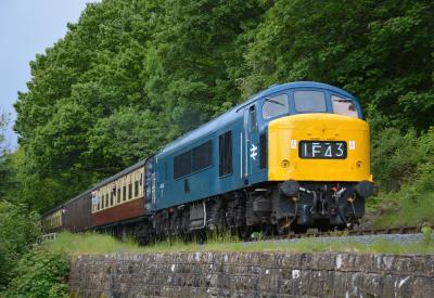 46045 at Severn Valley Railway - Northwood Ln - Tenbury Wall. &copy; AJax