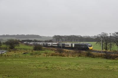 390118 at unknown. &copy; Brodie