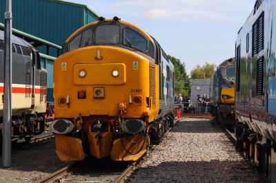 37401 at Crewe Gresty Bridge DRS Depot. &copy; South Coast Trainspotter