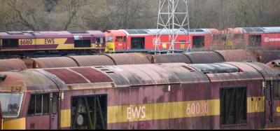 60030 at Toton New Bank Sidings. &copy; Brodie