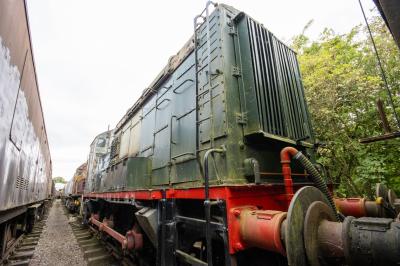 Everyone's Photographs of EE 1901 — trainlogger