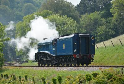 60007 steam at Dartmouth Steam Railway - Greenway Halt. &copy; AJax