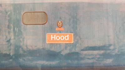 50031 at Laira T&RSMD. &copy; Davejones12