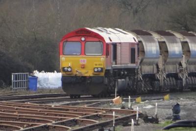 11th February image