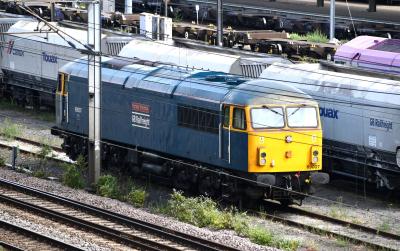 Doncaster Decoy Yard photo