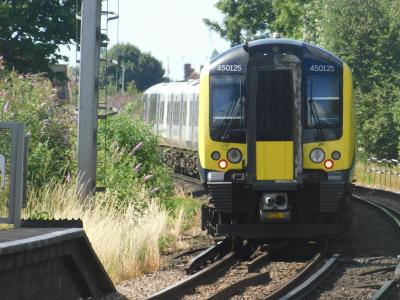 Hilsea photo