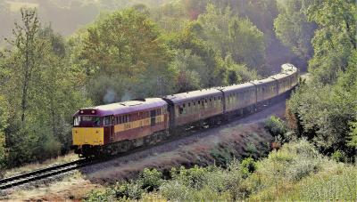 31466 at Severn Valley Railway - Highley. &copy; stevexos