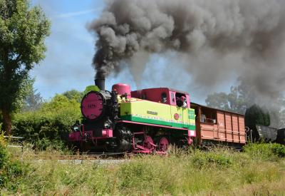South Devon Railway - Bishops Bridge Loop photo