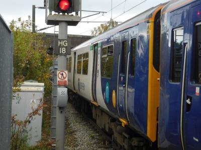 Hazel Grove photo