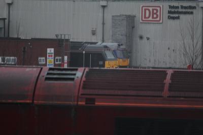 Toton TMD photo