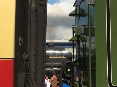 70013 Steam at Old Oak Common HST Depot. &copy; Pape_Timmo