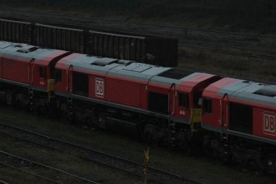 Tees Yard photo