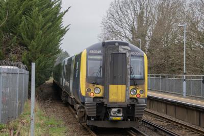 450048 at Ash. &copy; Zain