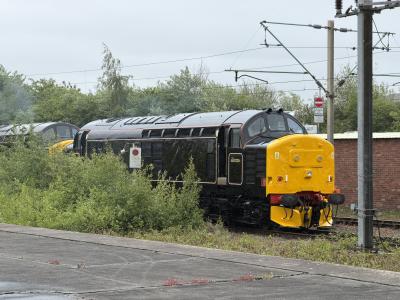37667 at Crewe TMD. &copy; Luivery