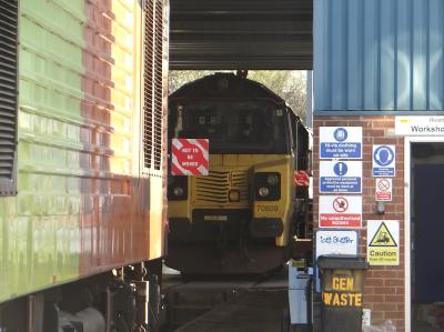 Westbury Yard photo