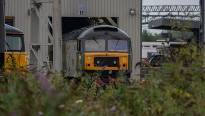 Crewe TMD photo