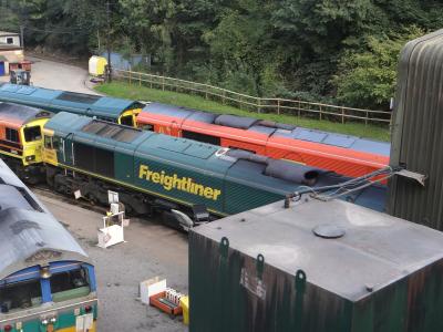 Whatley TMD photo