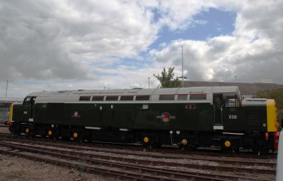 D213 at Derby - The Greatest Gathering 2025. &copy; stevexos