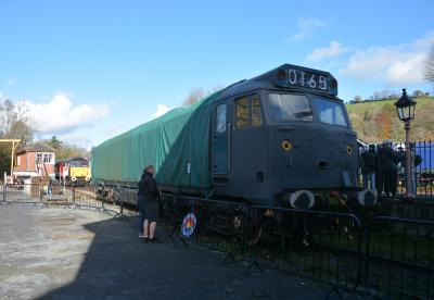 50002 at South Devon Railway - Buckfastleigh. &copy; AJax