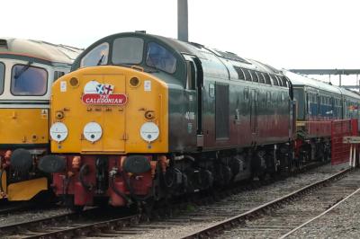 40106 at Derby - The Greatest Gathering 2025. &copy; stevexos