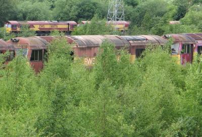 60030 at Toton TMD. &copy; MJM