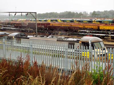 90050 at Crewe Basford Hall. &copy; stevexos