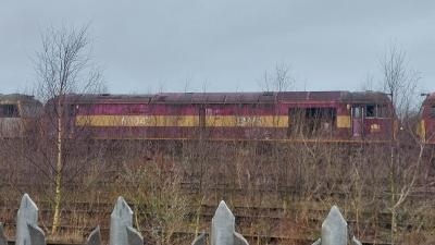 60042 at Toton TMD. &copy; MemberOfThePublic