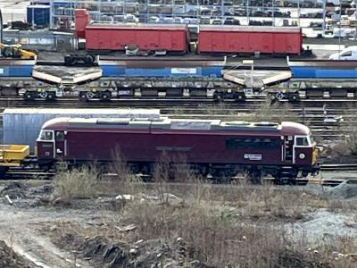 69009 at Toton Engineers Yard. &copy; BigKev