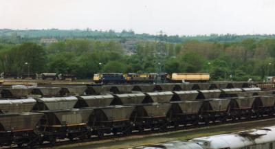 Toton photo